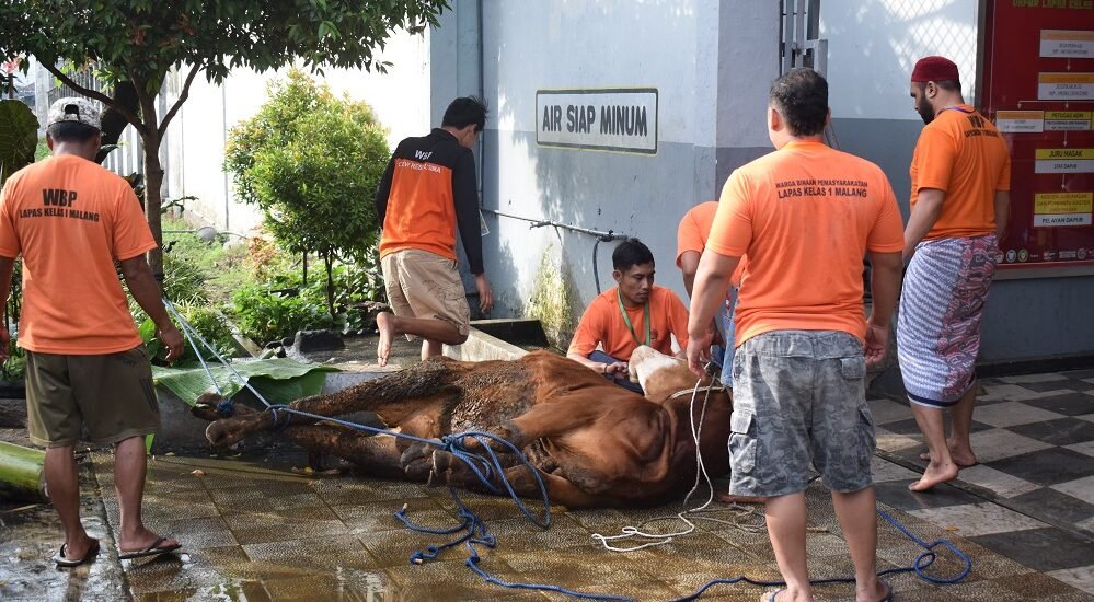 Lapas Kelas I Malang Sembelih Puluhan Hewan Kurban pada Idul Adha 1444 H