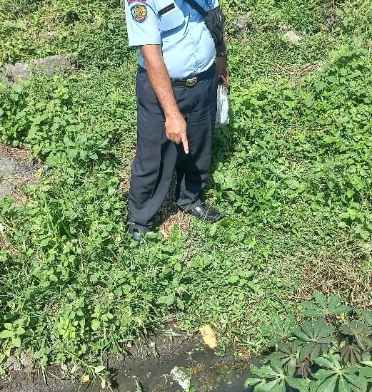 Pelemparan Ganja kembali digagalkan Petugas Lapas Kelas I Malang!