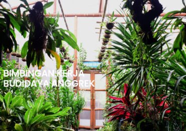 Healing di Tengah Kebun Anggrek Lapas Kelas I Malang