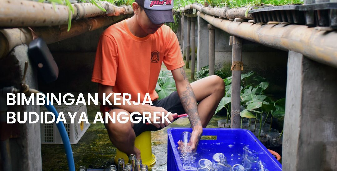 Healing di Tengah Kebun Anggrek Lapas Kelas I Malang